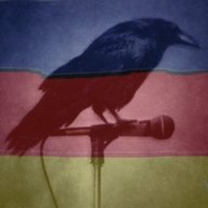 feenix67