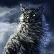 catstorm