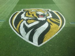 borntigerfan