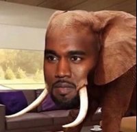 MeMeBigBoy