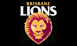 Lions_Prid3