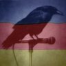 feenix67