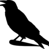 footywedge