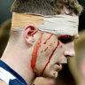gogeelongcats