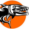 Barracuda