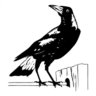 RustyCage