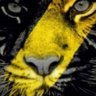 Tiges1229