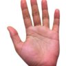 TheMagicTouch