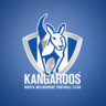 HT the NSW Roo