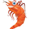 Shaun the Prawn