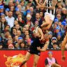 Geelong_Bisons_#36