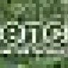 ben_at_thebench