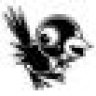 The Flying Magpie