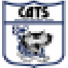 Cats33