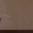 CatFan79