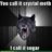 Sugar Wolf