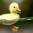 FlamingDuckling