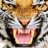 Tiger67