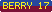 Brisbane Lions - Jarrod Berry Player Sponsor 2017
