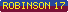 Brisbane Lions - Mitch Robinson Player Sponsor 2017