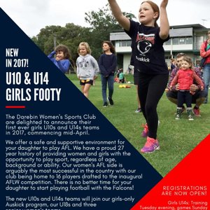 Darebin Falcons U14